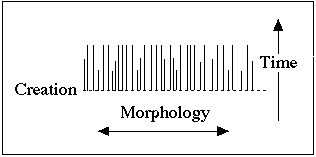 Baraminology Chart